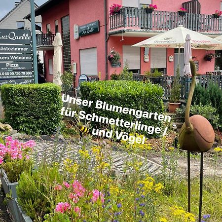 Pension zur Quelle Deudesfeld Extérieur photo