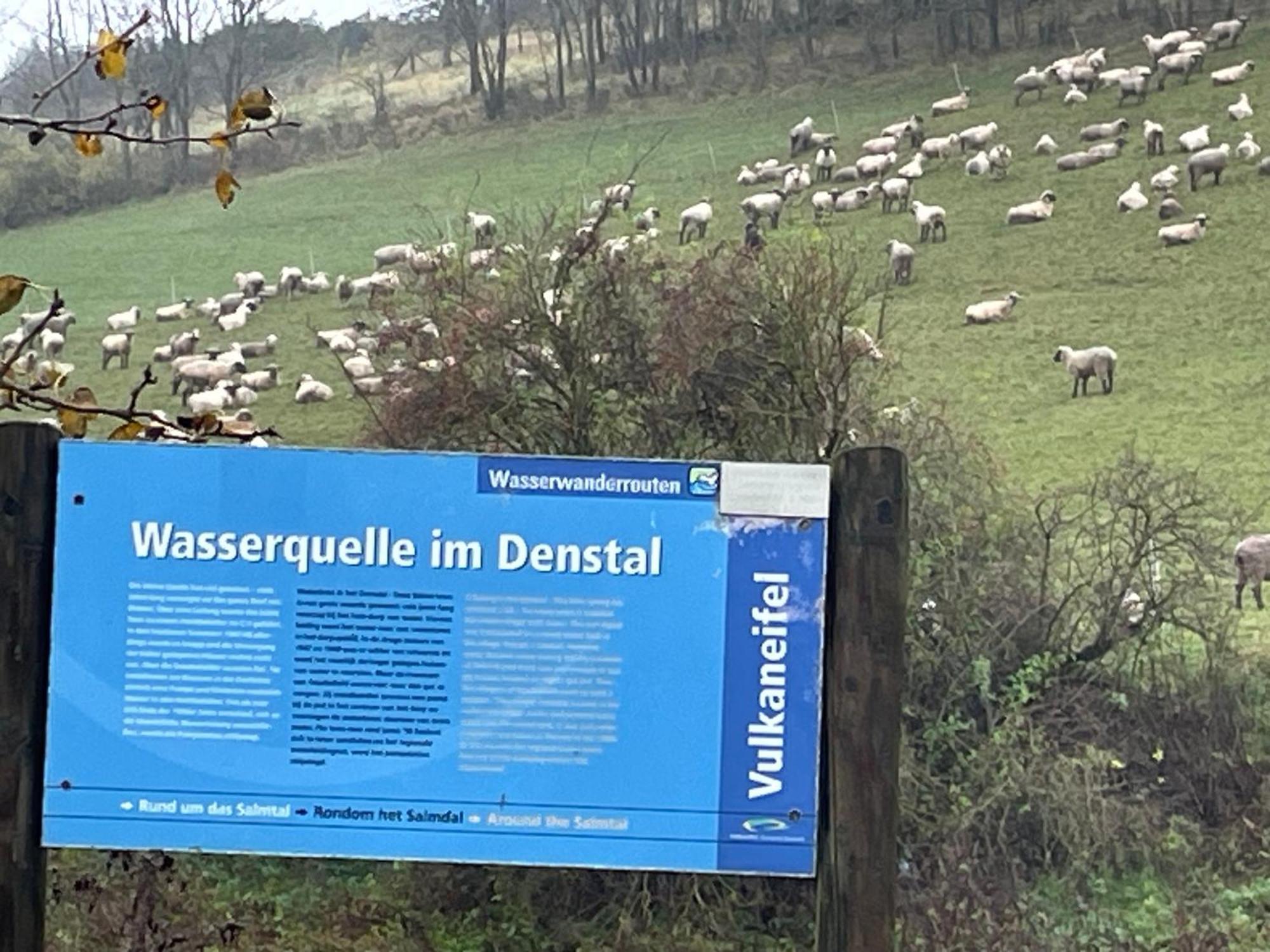 Pension zur Quelle Deudesfeld Extérieur photo