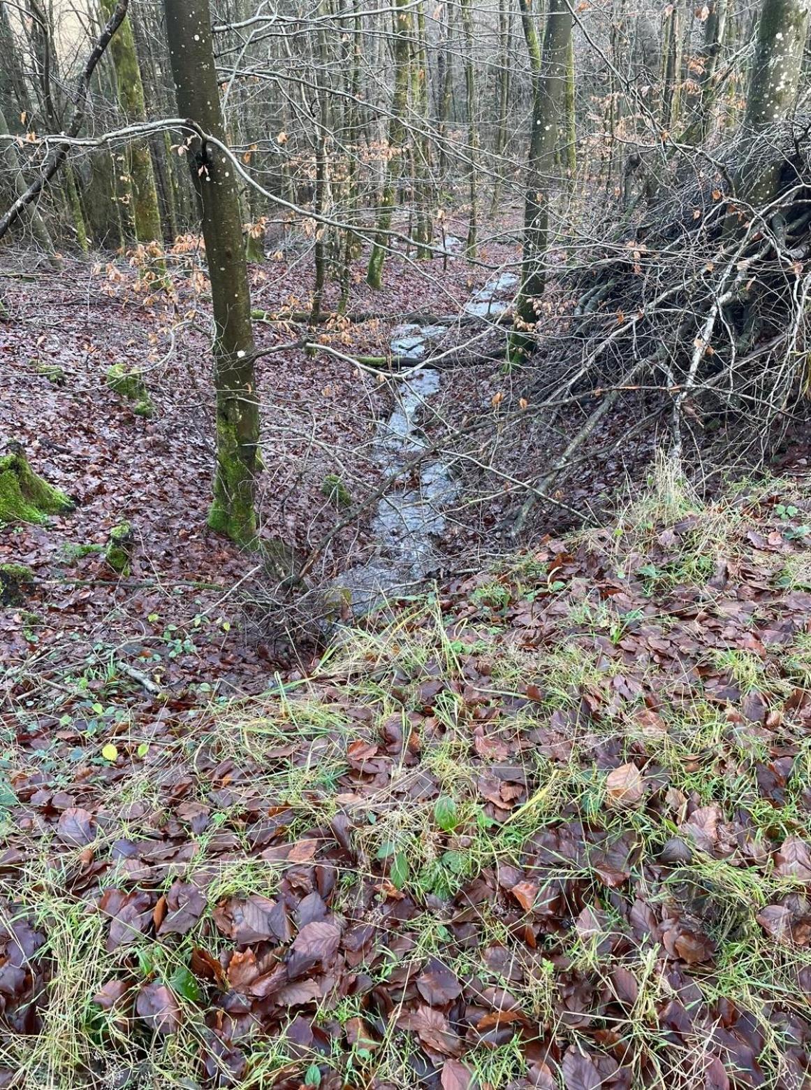 Pension zur Quelle Deudesfeld Extérieur photo