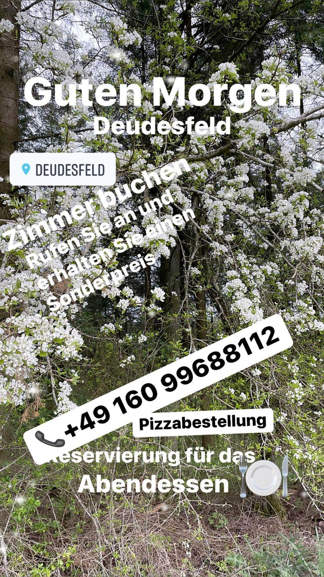 Pension zur Quelle Deudesfeld Extérieur photo