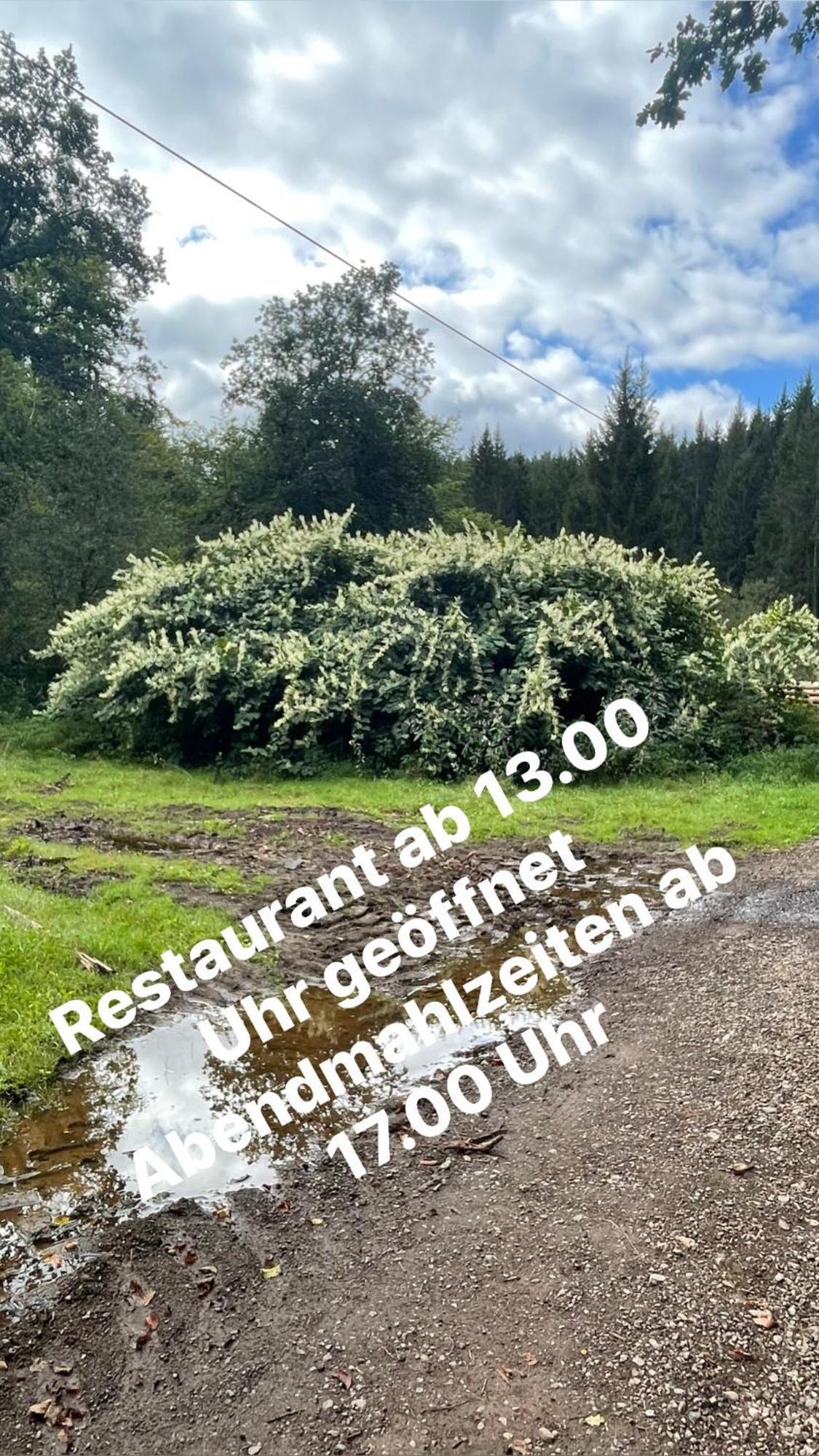 Pension zur Quelle Deudesfeld Extérieur photo