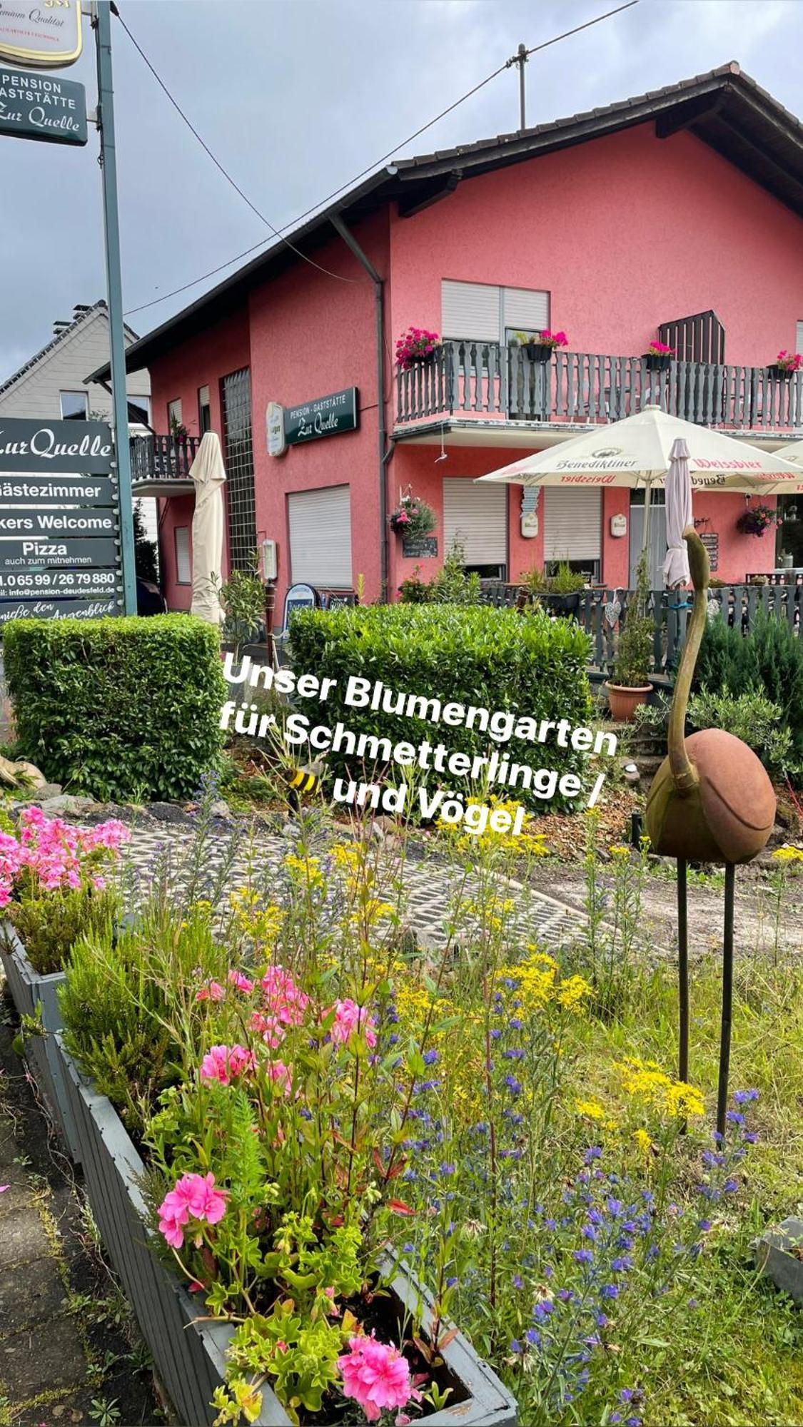 Pension zur Quelle Deudesfeld Extérieur photo