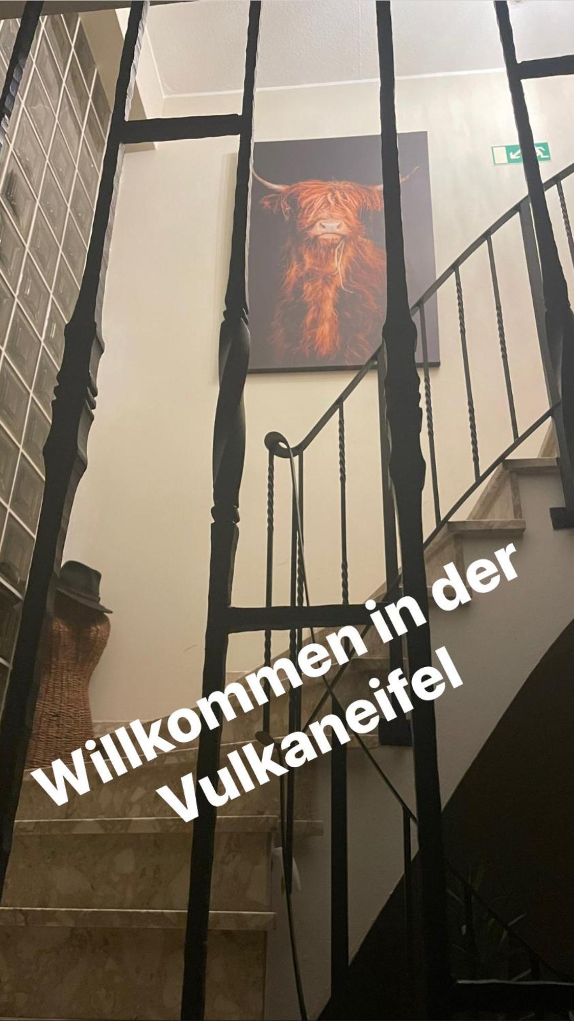 Pension zur Quelle Deudesfeld Extérieur photo